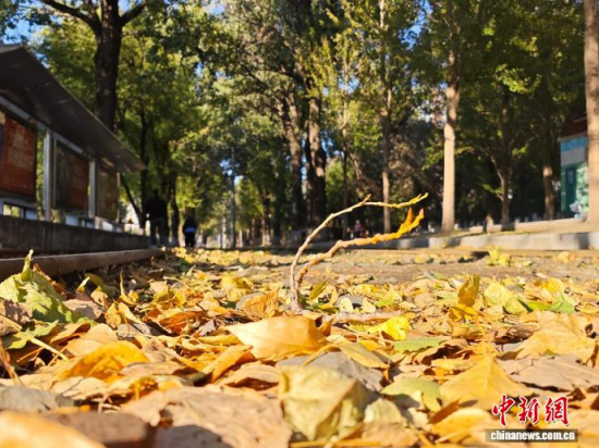 S54·܉܇ؾh(hun)߅L(fng)òS~䁝M· z