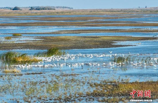 1016ĪĪҼȻo^(q)(ni)ڑˮ(o˙CƬ)w z