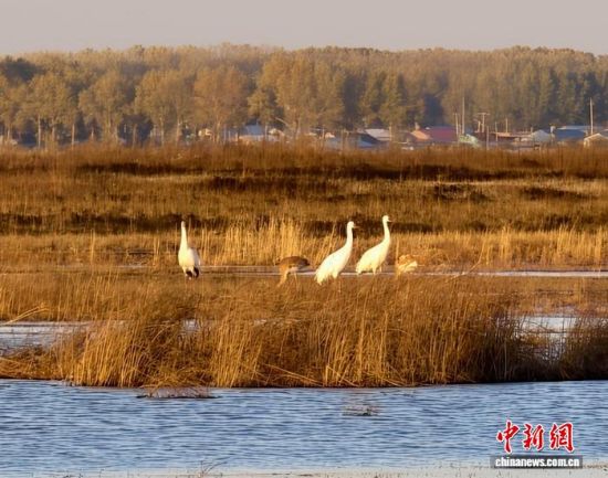 ؚwQȺġС()˰QȺwr z